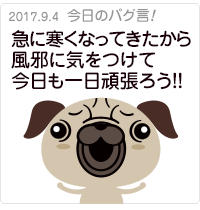 急に寒くなってきたから風邪に気をつけて今日も一日頑張ろう！！