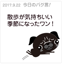 散歩が気持ちいい季節になったワン!