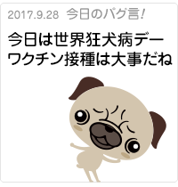 今日は世界狂犬病デー。ワクチン接種は大事だね