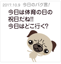 今日は体育の日の休日だね！どこ行く？