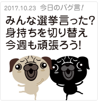 みんな選挙言った？身持ちを切り替え今週も頑張ろう！