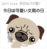 今日は可愛い文鳥の日