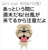 あっという間に週末だね！台風が来てるから注意だよ