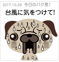 台風に気をつけて！