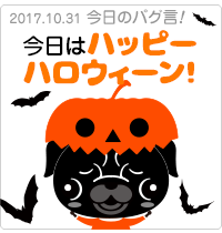 今日はハッピーハロウィーン！