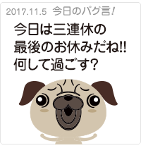 今日は三連休の最後のお休みだね！！何して過ごす？
