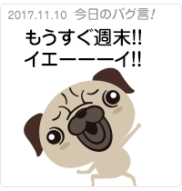 もうすぐ週末！！イエーーーイ！！