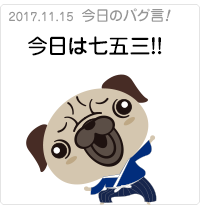 今日は七五三！