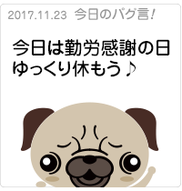 今日は勤労感謝の日ゆっくり休もう♪