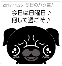 今日は日曜日♪何して過ごそ♪