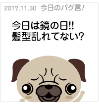 今日は鏡の日！！髪型乱れてない？