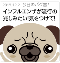 インフルエンザが流行の兆しみたい！気をつけて！