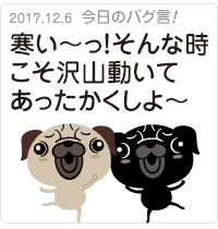 寒い〜っ！そんな時こそ沢山動いてあったかくしよ〜