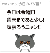 今日は金曜日！週末まであと少し！頑張ろうニャン！！